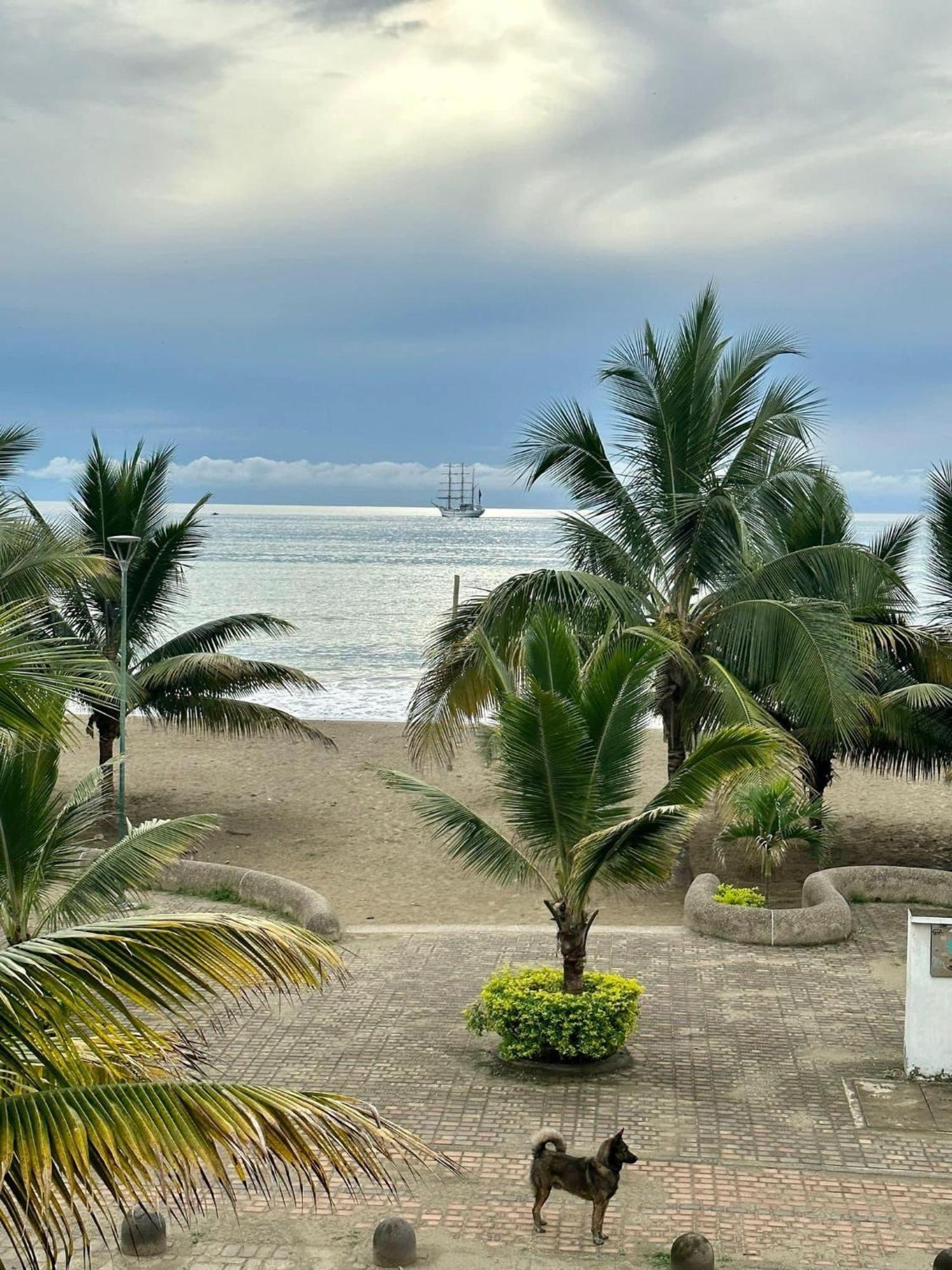 Victor Hugo Puerto Lopez