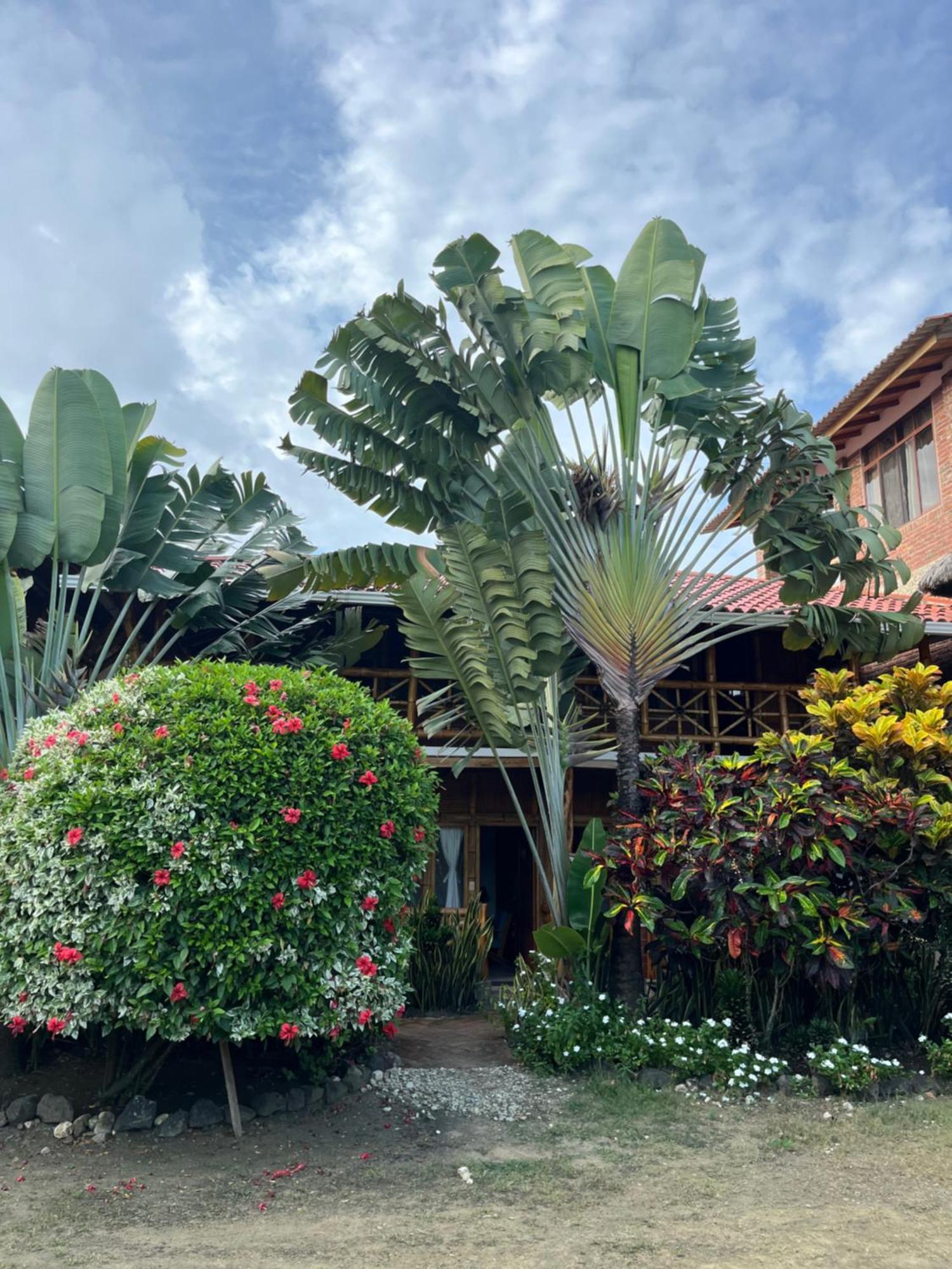 Victor Hugo Hotel *